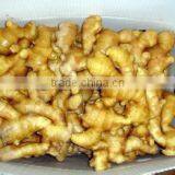 China Spice Vegetable of Fresh Ginger in Hot Sale thumbnail-4