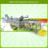 Super Asia Automatic Fruit and Vegetable Cutting Washing Drying Machine thumbnail-2