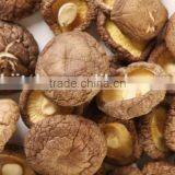 Dried Smoth Shiitake Mushroom thumbnail-2