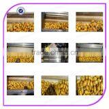 Best Seller Hard Brushes Electric Potato Peeler Machine/ Potato Peeling Machine