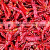 Automatic Mesh Belt Conveyor Dryer thumbnail-4