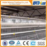 Chicken layer cage price / Poultry cages with professional design (Factory manufacturer)