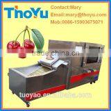 Professional Durable Cherry Stone Extracting Machine(SMS: 0086-15903675071) thumbnail-1