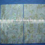 Freshwater Shell Laminate With Brown Dapple