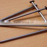 China Manufacturer Nail / Common Nail / Common Wire Nail thumbnail-3