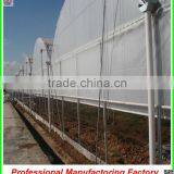 Hot Sale Multi-span 10.8m Double Layer Plastic Film Greenhouse From China thumbnail-2