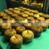 N531 Modern Art Decoration Colorful Apple Christmas Gifts thumbnail-2