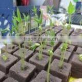 Plant Cultivation &floral Foam Tray& Seedling Bed Sponge thumbnail-2