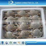 Wholesale Seafood Frozen Three Spot Crab thumbnail-3