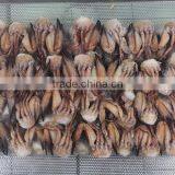 BQF Frozen Cut Swimming Crab for Sale With HACCP Certification thumbnail-5