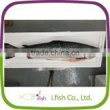 Atlantic Salmon thumbnail-1