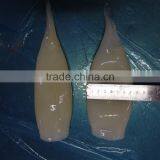 HACCP,QS Certification Frozen Illex Squid Tube thumbnail-3