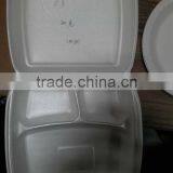 8" x 8" 3 Compartment Foam Food Container thumbnail-1