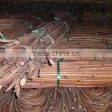 Red Water Rattan Cane thumbnail-6