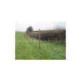 China Suppplier Hot Dipped Galvanized Fence /field Fence Manufacturer thumbnail-2