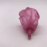 Wholesale3-4cm Elegant Real Touch Preserved Rose Flower thumbnail-4