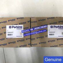 U45011050 U45011030 Genuine Perkins Water Pump for 404C-22T 404D-22 404D-22T 404D-22TA Engine Parts thumbnail-3