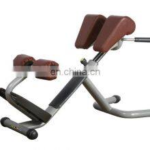 Commercial Gym Equipment Supplier Asj Roman Chair Bench Wholesaler Price Back Extention