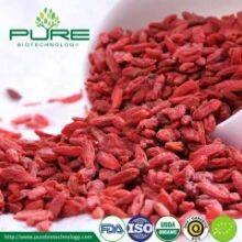 Organic Dried Fruit Goji Berry thumbnail-2