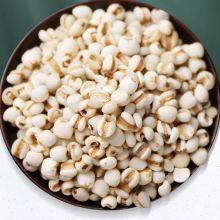 Job's Tears Coix Seed thumbnail-1