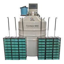 Guatemala Vapor Phase Liquid Nitrogen Tank KGSQ Nitrogen Liquid Container thumbnail-5
