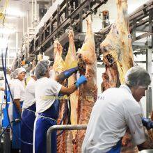 Cattle Slaughter Device Cow Bleeding Step Machine Cow Processing Conveyor Machine Abattoir thumbnail-4