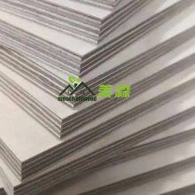 Birch Plywood 3-25mm Poplar/Eucalyptus Core Plywood UV Coading Plywood for Furniture/Construction thumbnail-2