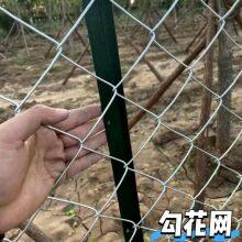 Hot-Dipped Galvanized Chain Link Fence With 2.5mm Wire Diameter for Industrial Security thumbnail-2