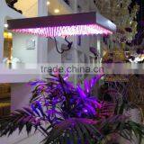 Greenhouse Led Plant Light for Growing Vegatables Tomato,lettuce