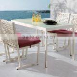 Seat Cushion for Rattan Sofa Outside Furniture (DH-9736) thumbnail-1