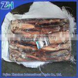 Frozen squid(illex), Zhoushan argentina squid export, best quality whole round illex squid