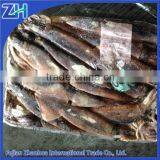 Squid Jig Lamps for Illex Squid Frozen Squid thumbnail-1