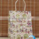Professional Custom Paper Packaging Bag for Shopping or Gift
