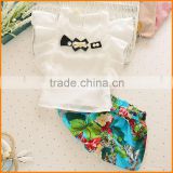 Chiffon shirt wear suit two pieces a simple short sleeved girl on behalf of Taobao WeChat Distribution Agency