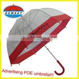 Clear Umbrella