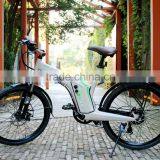 Flyer Cheap but Good Electric Bicycle With High Quality thumbnail-2