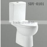 Sanitary Ware Washdown Two Piece Toilet