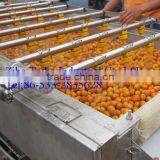 Fully Automatic Pomegranate Washing Machine thumbnail-3