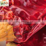 Dry Red Sweet Paprika ASTA120-ASTA160-ASTA180-ASTA200 thumbnail-5