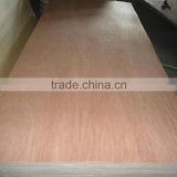 red melamine board, face/back okume/keruing/ bintangor/ styrax, acacia/eucalyptus for indoor and outdoor usages