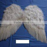 Feather Angle Wing