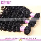 Tangle free no shedding virgin malaysian deep curly hair weave wholesale cheap malaysian hair extension