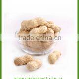 Peanut in Shell thumbnail-2