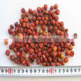 High Quality Naural Wild Dried Rosehip Whole Fruit thumbnail-6