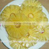 Pineapple Rings in Light Syrup