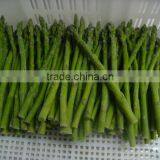 2016 Frozen Green Spring/summer Asparagus Cut/whole From Sunnywellfoods Company thumbnail-3