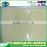 IQF Mashed Garlic Puree With Good Quality & Cheapest Price thumbnail-3