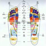 Polishing Magnet Massage Magnetic Gel Insole thumbnail-2