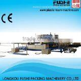 PS Lunch Box Thermoforming Production Line