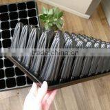 Newest Crazy Selling Black Seedling Tray thumbnail-6